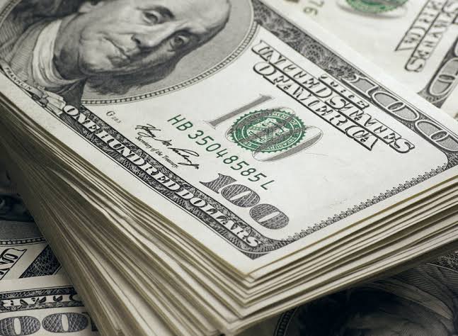 Dollar Earnings
